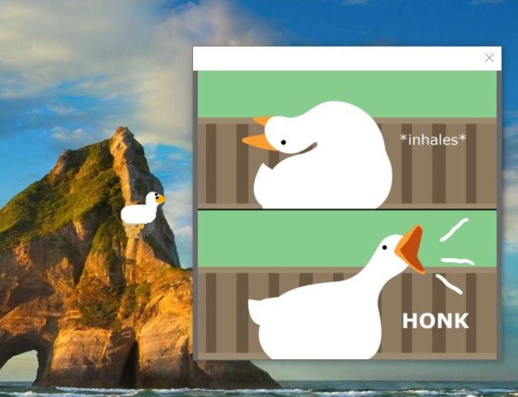 Upcoming Customization Update