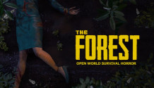 What Is Forest Game and How to Use