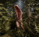 1.14 Release Notes